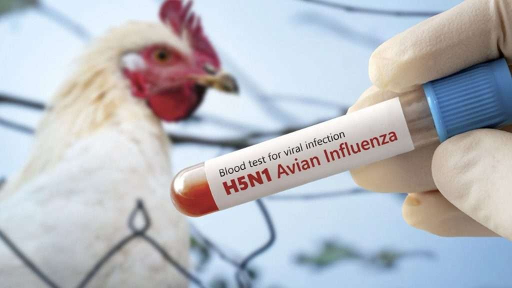 Confirman muerte de menor contagiada con influenza aviar