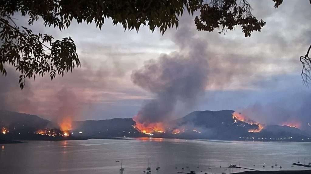 Incendio forestal alarma Valle de Bravo: fuego arrasa zona boscosa
