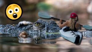 mujer cocodrilo kayak florida
