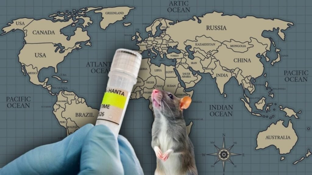 Hantavirus global