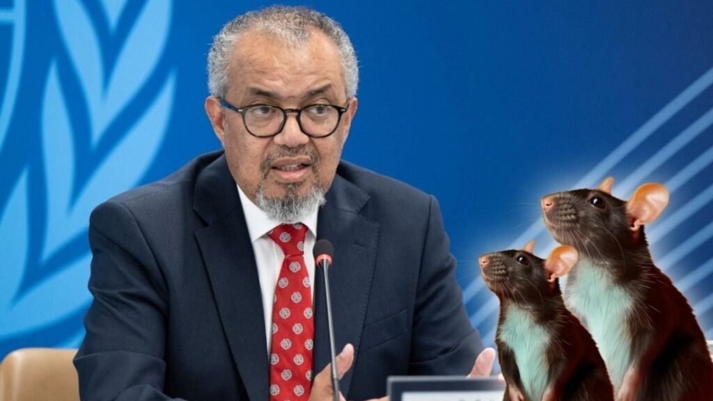 hantavirus