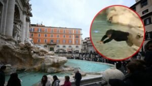 Multa Fontana di Trevi