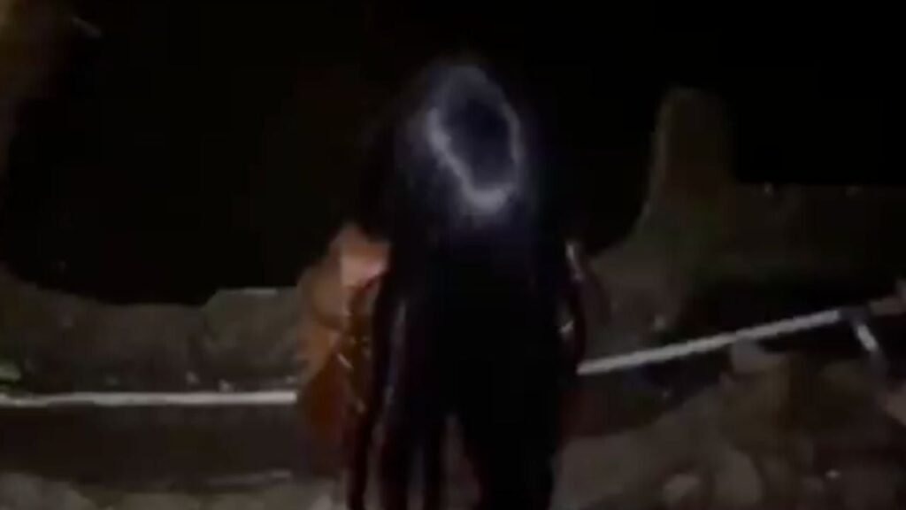 Niña fantasma cementerio viral