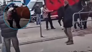 hombre pateado caballo Polonia