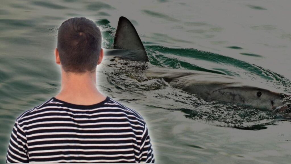 ataque de tiburón Australia