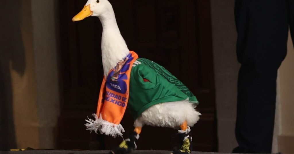 Merlín el pato mundialista