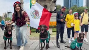 perrita policía México