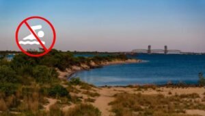 Contaminación playas Estados Unidos