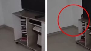 video paranormal Medellín IA