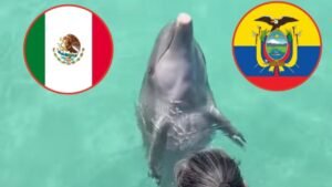 Delfín Hidalgo predicción México Ecuador