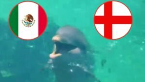 Delfín Hidalgo predice México Inglaterra