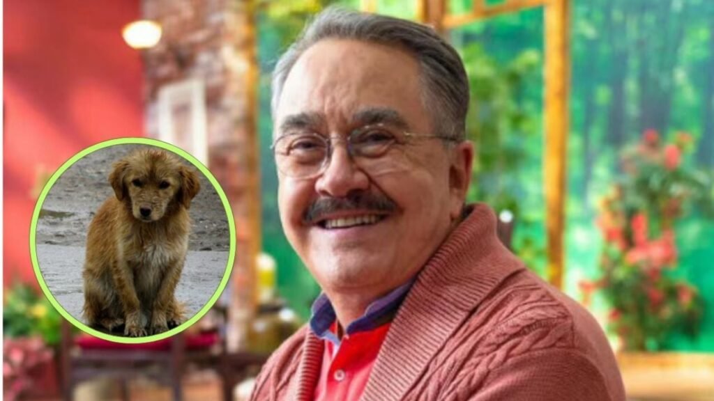 Pedro Sola disculpas perros