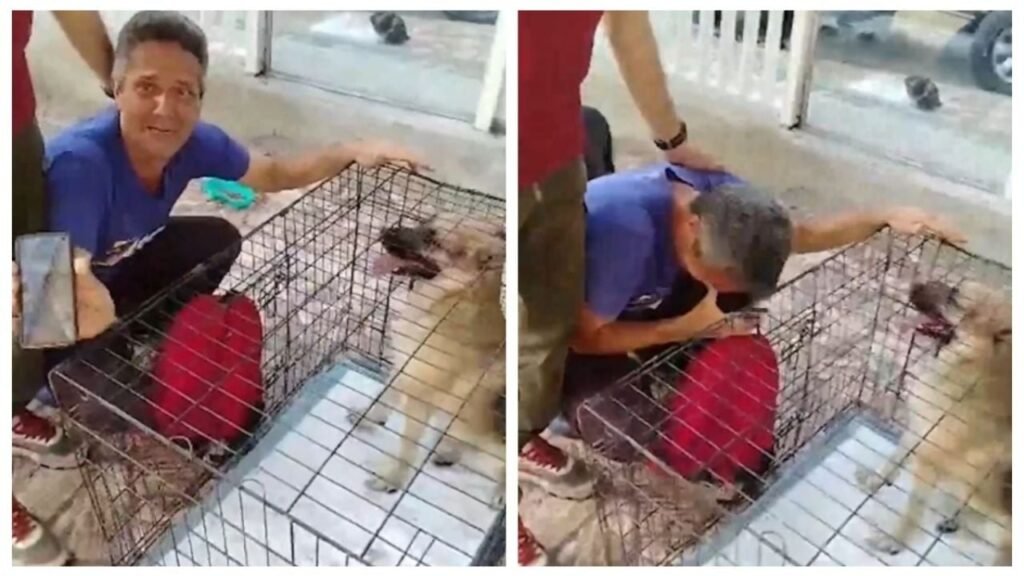 reencuentro perro dueño terremoto Venezuela