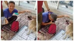reencuentro perro dueño terremoto Venezuela