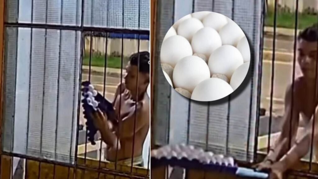 ladrón de huevos viral