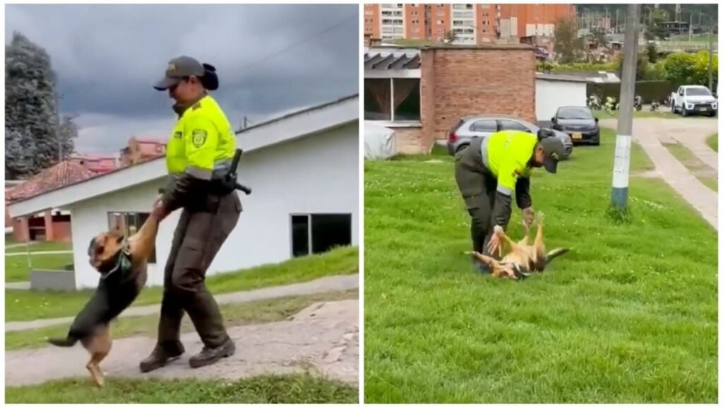 Mujer policía perrito viral