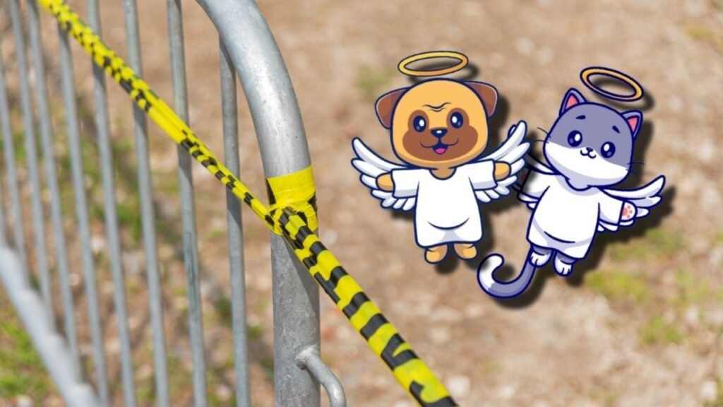 Abandono mascotas Jalisco