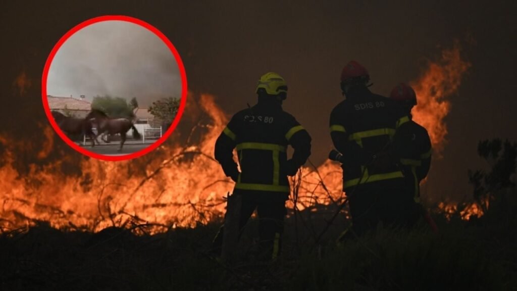 caballos huyen incendio Francia