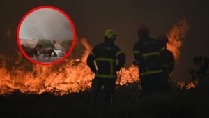 caballos huyen incendio Francia