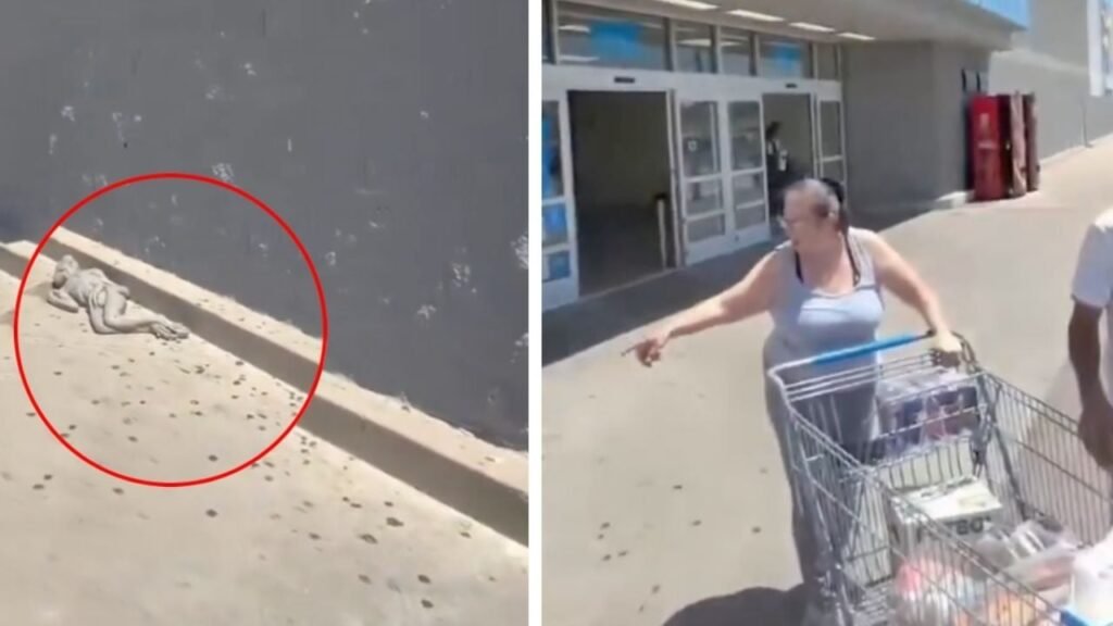 video alien supermercado