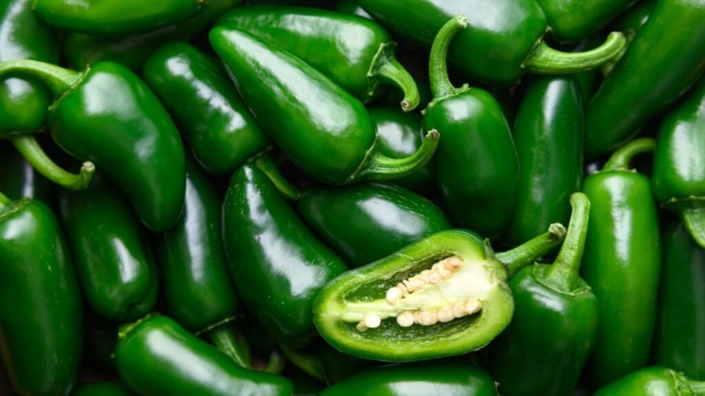 brote salmonelosis chiles jalapeños