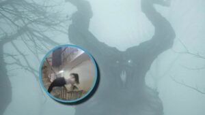 Video paranormal en Egipto