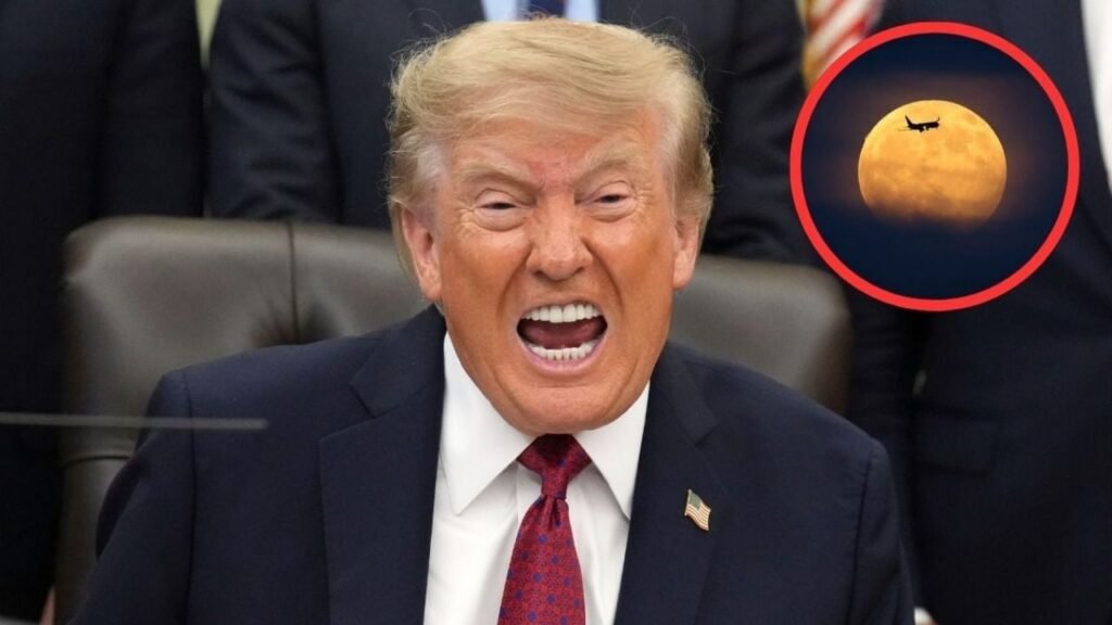 Donald Trump Luna