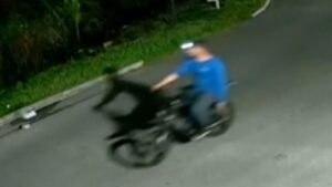 asesino serial de gatos