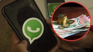 Cobro WhatsApp Business
