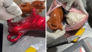 Perro policía cocaína AICM