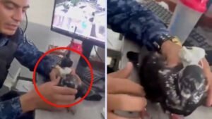 Paloma traficante drogas cárcel