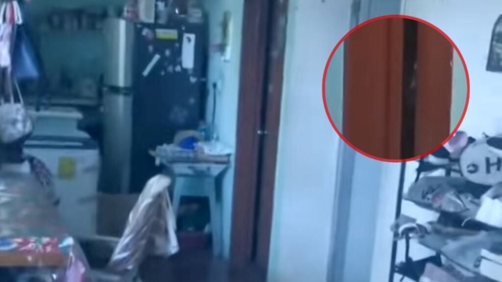 Presencia paranormal explicación científica
