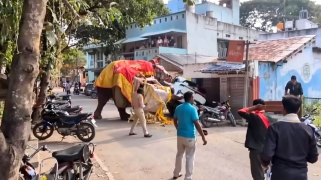 elefante procesión India