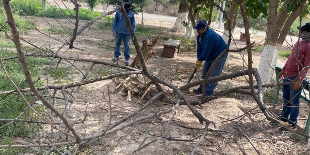 01f13a88-d0e3-4fbd-9a93-343f57d48439