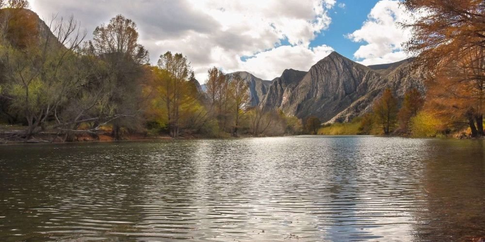 081fe67b-e709-4633-a3c9-bf5e99af6243