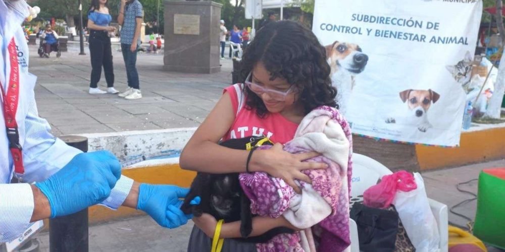 0956010e-131a-4216-a3af-8645591776c7