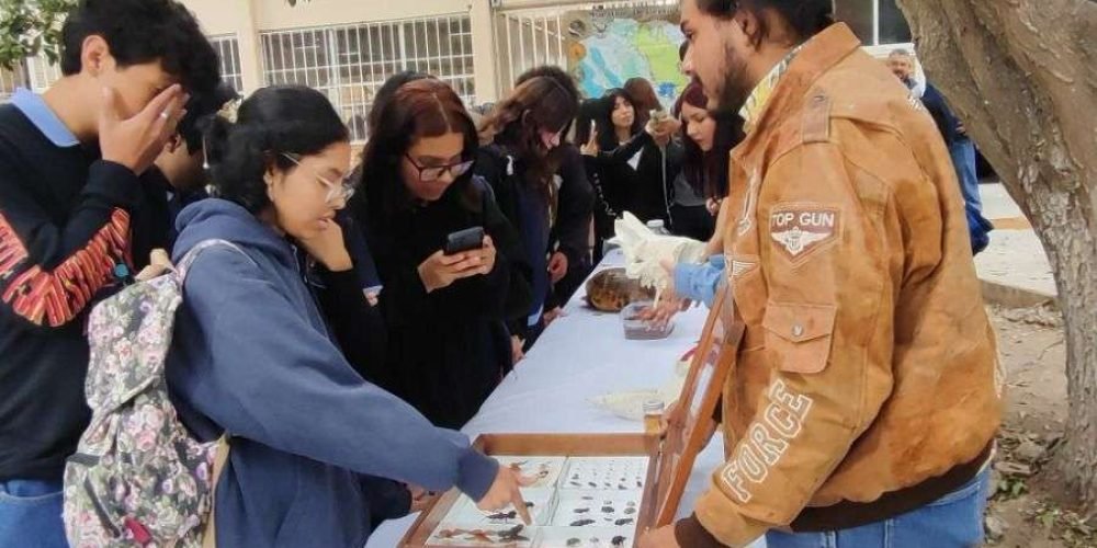 0d08272b-d247-46d0-afeb-f745bd40906b