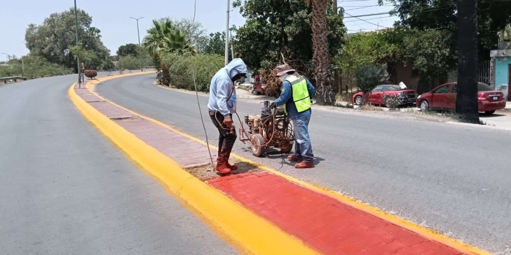 181114c6-3e52-4559-8175-abb7f3fd2398