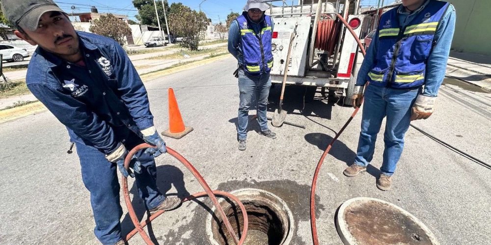 1ced13e1-db8a-4628-85e7-c008008f08f3