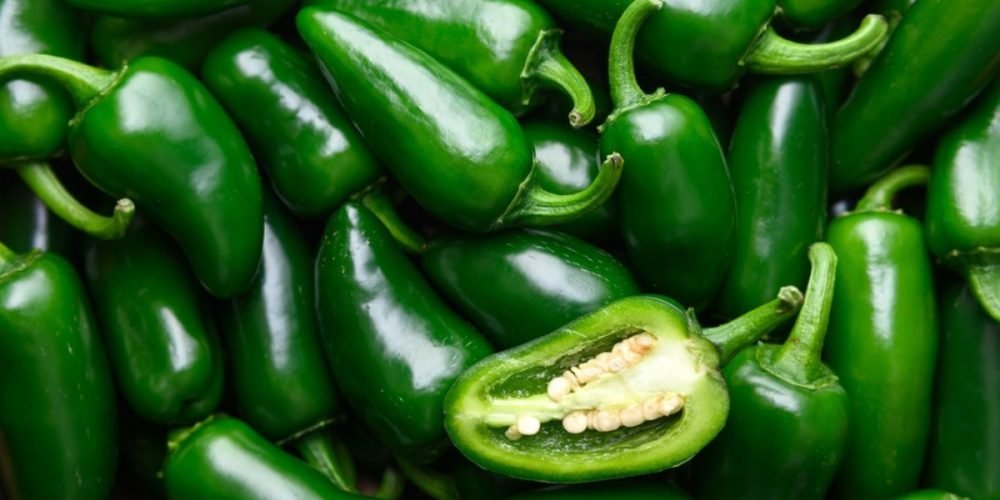 brote salmonelosis chiles jalapeños