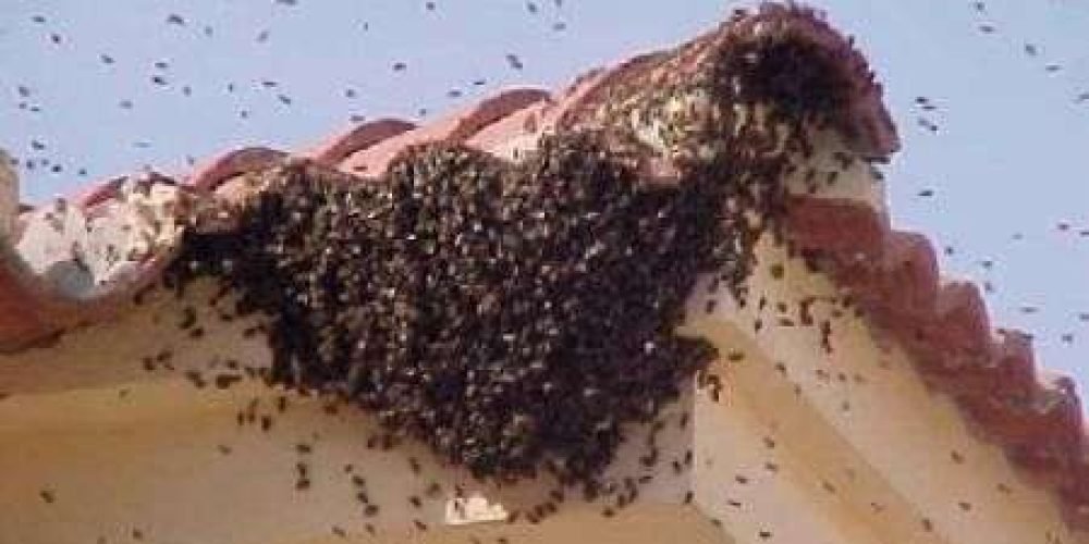 27b4af38-1812-492a-a080-05cb545a8a3d