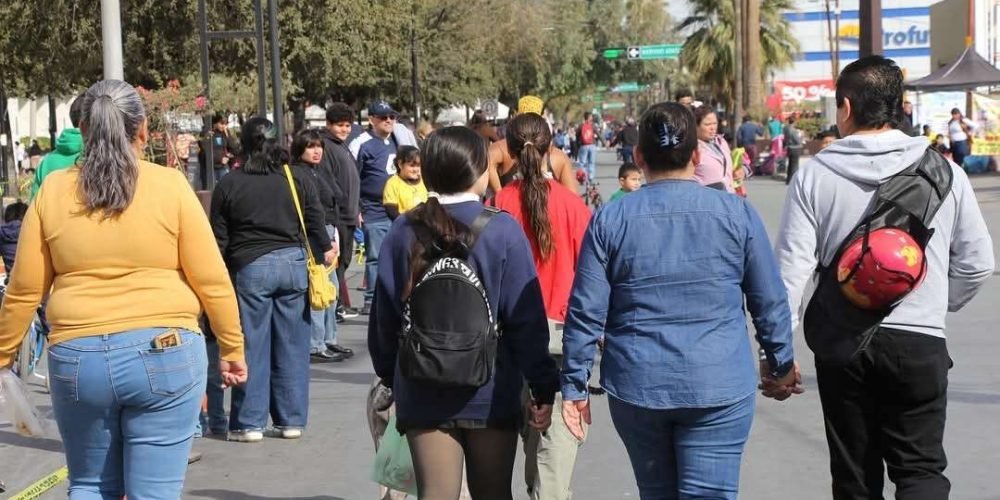 310fa798-2138-4050-a424-abf7af5f65c4