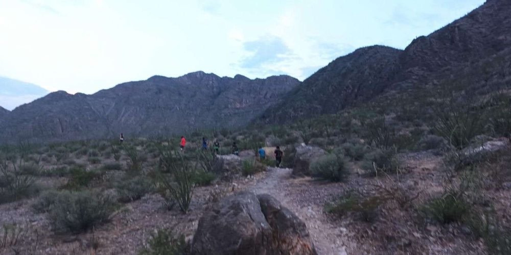 31951fb4-abf7-466a-9125-7c8393ffe76d