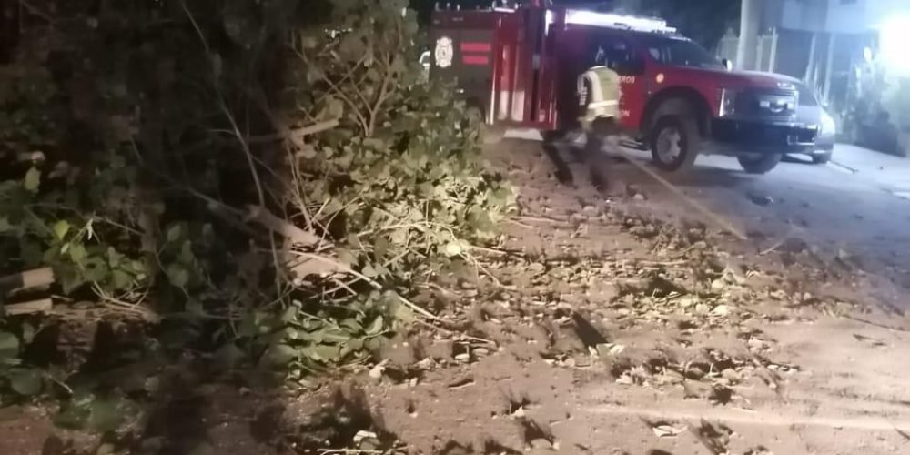 32e37525-7d7a-4bbb-8a62-8dff91a0a94a