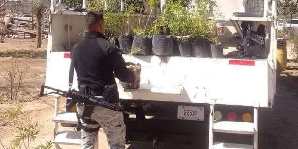 3c40f236-9600-46b7-b72f-4bc045ae3f31