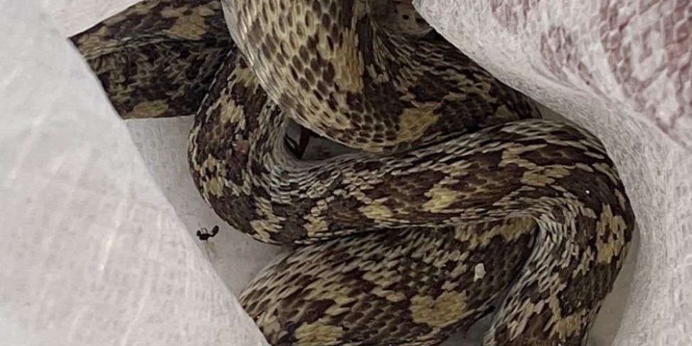 43a5e0e6-c328-49f1-a6b4-8aa3a73df0a0