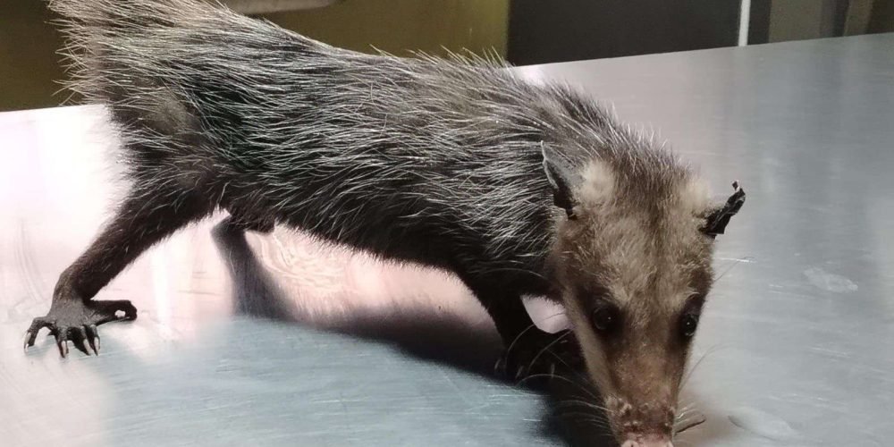 4eb726da-7d71-4c19-aca1-4d9d8b9a8017