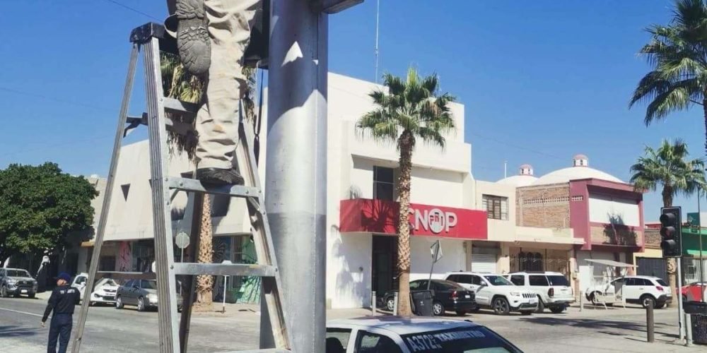 532efe5a-ad74-40c6-98ab-242b30e02f31