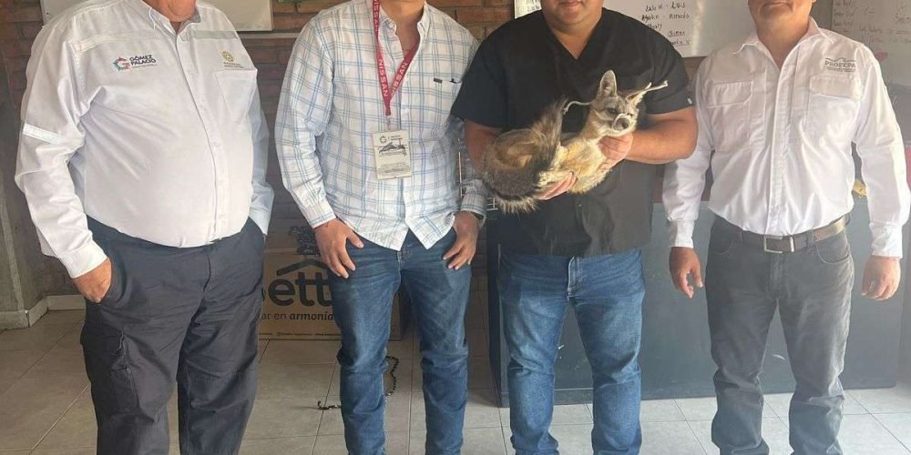 59744800-640c-4bd9-bbe1-4179a8e5951f