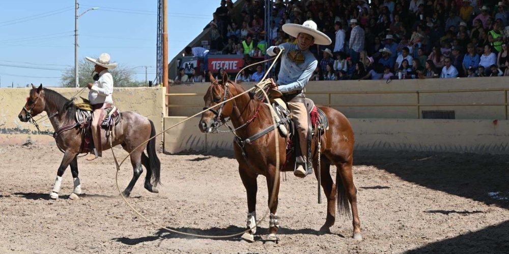 5c6b04ee-42b9-4b77-8207-ee68c733ad00